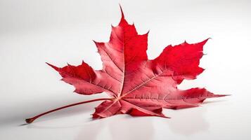 Kanada Unabhängigkeit Tag. rot Ahorn Blatt auf ein Weiß Hintergrund, Nahansicht. ai generiert. foto