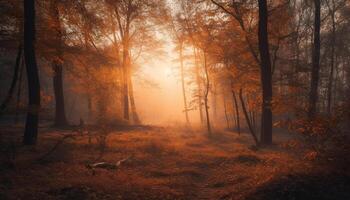 ein still Szene im das Wald Nebel, Herbst Blätter, Sonnenlicht generiert durch ai foto