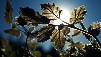 beschwingt Herbst Laub auf Ahorn Baum, zurück zündete durch Sonne generiert durch ai foto