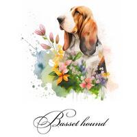 Aquarell Illustration von ein Single Hund Rasse Basset hetzen mit Blumen. ai generiert. Hund Porträt. foto