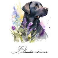 Aquarell Illustration von ein Single Hund Rasse schwarz Labrador Retriever mit Blumen. ai generiert. Hund Porträt. foto