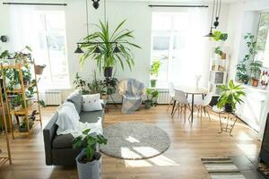Regale mit ein Gruppe von Innen- Pflanzen im das Innere Zimmer Weiß Dachgeschoss, grau Sofa, gemütlich Plaid, Teppich. Zimmerpflanze wachsend und Pflege zum Innen- Anlage, Grün Zuhause foto