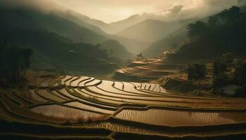 terrassiert Reis Reisfelder im sa pa, Vietnam generiert durch ai foto