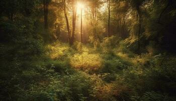 Sonnenlicht Filter durch Herbst Blätter im Wald generiert durch ai foto
