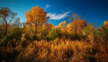 golden Ahorn Baum steht im still Wiese generiert durch ai foto