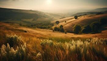 still Wiese beim Sonnenuntergang, Natur Schönheit präsentiert generiert durch ai foto