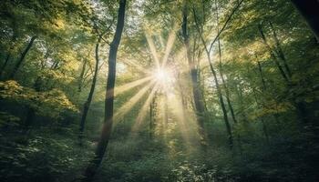 sonnendurchflutet Wald Pfad führt zu Herbst Schönheit generiert durch ai foto