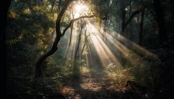 sonnendurchflutet Wald Pfad offenbart Herbst mysteriös Schönheit generiert durch ai foto