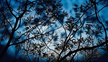 Silhouette von Baum Ast gegen zurück zündete Sonnenuntergang generiert durch ai foto