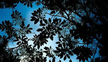 Silhouette Baum zurück zündete durch Sonnenuntergang Schönheit generiert durch ai foto