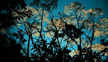 Silhouette Baum von hinten beleuchtet durch beschwingt Sonnenuntergang Himmel generiert durch ai foto