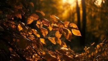 beschwingt Herbst Baum, Gelb Blätter, Sonnenlicht Schönheit generiert durch ai foto