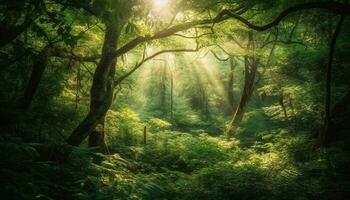 Sonnenaufgang leuchtet still Wald, Aufschlussreich versteckt Geheimnis generiert durch ai foto
