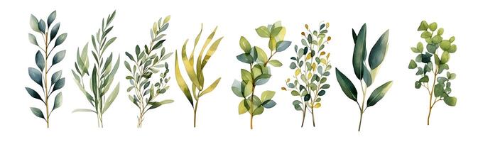 Sammlung von Aquarell Hand gemalt Geäst und Blätter isoliert auf Weiß Hintergrund. generativ ai foto