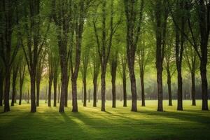 ein Reihe von Bäume im ein groß Park. ai generativ foto