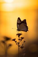 einer Schmetterling steht silhouettiert gegen ein Gelb Sonnenuntergang. ai generativ foto