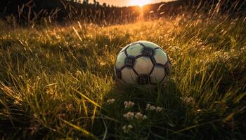 spielen Fußball auf Grün Feld unter Sonne generiert durch ai foto