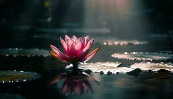 Lotus blühen schwimmt auf still Teich Oberfläche generiert durch ai foto