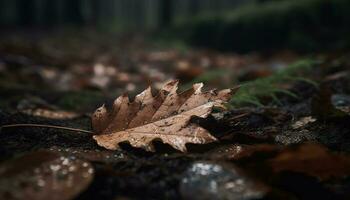 beschwingt Herbst Farben, fallen Blätter, Ahorn Baum generiert durch ai foto