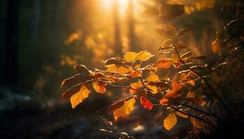 beschwingt Herbst Farben erleuchten still Wald Szene generiert durch ai foto