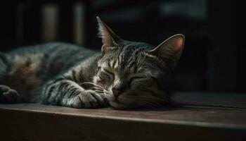flauschige Kätzchen Schlafen, friedlich und charmant drinnen generiert durch ai foto