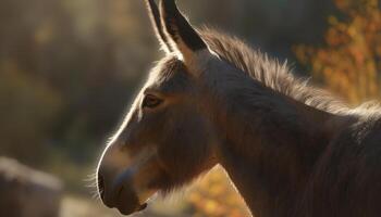 schön Hengst Weiden lassen im ländlich Wiese Sonnenlicht generiert durch ai foto