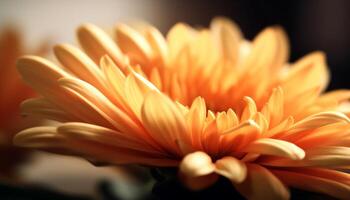 beschwingt Gerbera Gänseblümchen blühen im Sanft Fokus, umgeben durch Grün generiert durch ai foto