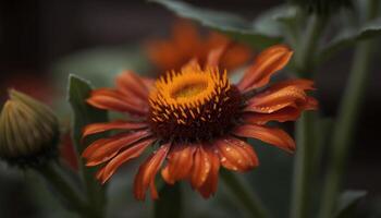 beschwingt Wildblume Strauß Vitrinen Natur Schönheit im ein formal Garten generiert durch ai foto