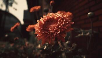 beschwingt Strauß von multi farbig Blumen im ein ländlich Wiese generiert durch ai foto