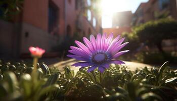 beschwingt Gerbera Gänseblümchen Strauß Vitrinen Schönheit im Natur multi farbig Blüten generiert durch ai foto