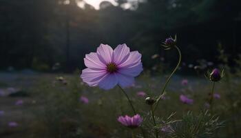 beschwingt Wildblume Wiese Vitrinen Schönheit im Natur bunt Dekoration generiert durch ai foto