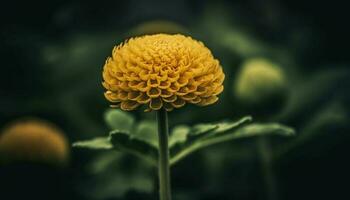 das beschwingt Schönheit von ein Gelb Sonnenblume im natürlich Wiese generiert durch ai foto