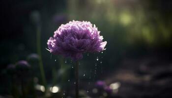 Schönheit im Natur ein schließen oben von ein lila Blume Kopf generiert durch ai foto