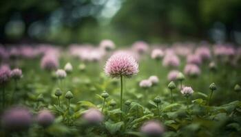 ein beschwingt Wiese von multi farbig Wildblumen im das Sommer- Sonne generiert durch ai foto