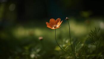 beschwingt Wildblume Wiese, Single Gelb Gänseblümchen im Fokus, lila Hintergrund generiert durch ai foto