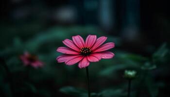 beschwingt Wildblume Wiese Vitrinen Schönheit im Natur multi farbig Blüten generiert durch ai foto