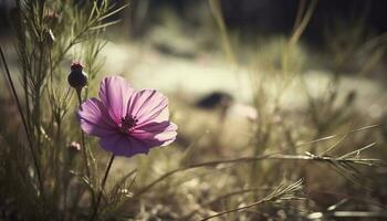 Wildblume Wiese Vitrinen Schönheit im Natur multi farbig Blüten generiert durch ai foto