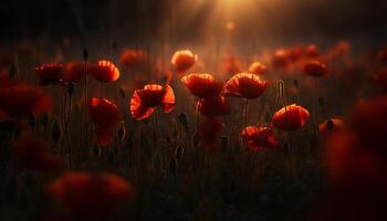 beschwingt Wildblume Wiese beim Dämmerung, von hinten beleuchtet durch hell Sonnenuntergang Himmel generiert durch ai foto