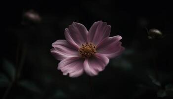 Sanft Fokus auf Single Blume im Natur formal Garten generiert durch ai foto