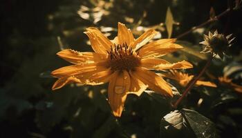 beschwingt Gelb Sonnenblume Blütenblatt im schließen hoch, nass mit Tau fallen generiert durch ai foto