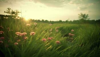 beschwingt Wildblumen blühen im still Wiese beim Sonnenaufgang, idyllisch Landschaft generiert durch ai foto