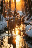 atemberaubend Fotografie von ein Herde von Hirsch im gefroren Wald. ai generativ foto