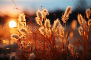 verschwommen aus von Fokus gesamt verwischen Foto von ein atemberaubend Interpretation bunt Gras Koteletts. ai generativ