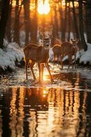 atemberaubend Fotografie von ein Herde von Hirsch im gefroren Wald. ai generativ foto