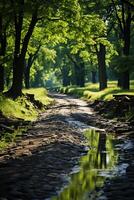 Sommer, das Sonne scheint hell, Wald Weg. ai generativ foto