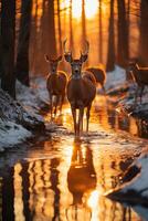 atemberaubend Fotografie von ein Herde von Hirsch im gefroren Wald. ai generativ foto