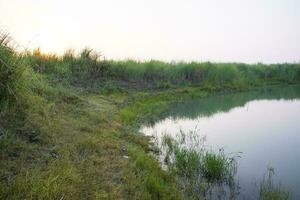 See Wasser mit Grün Gras Landschaft Aussicht von unter das Blau Himmel foto