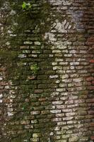 alt Backstein Mauer mit Grün Moos und Flechte. abstrakt Hintergrund foto