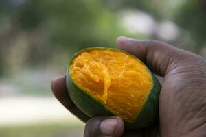 Hand halten Gelb reif beißen Mango Obst mit das verschwommen Hintergrund foto