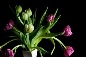 niedrig Schlüssel beschwingt Tulpe Blumen im Vase Kunst Nahansicht foto